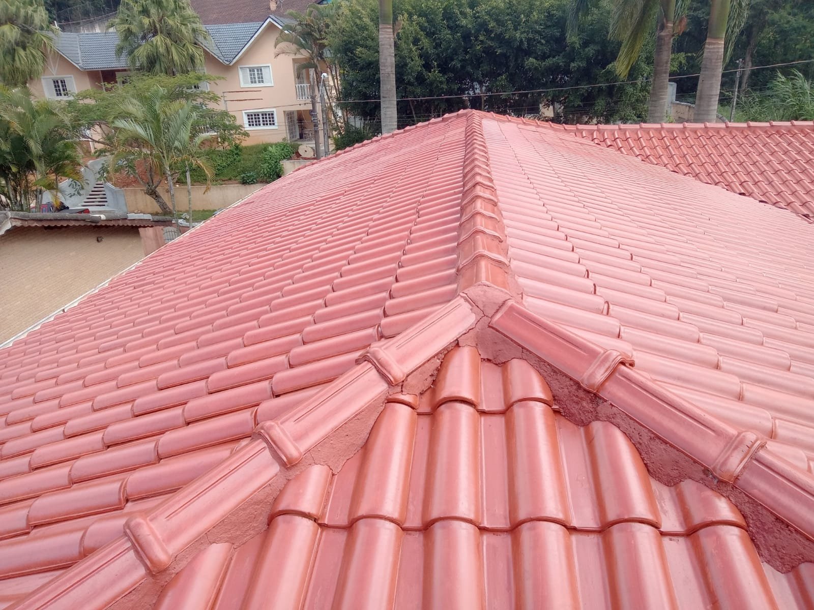 WhatsApp Image 2025-02-24 at 16.40.15